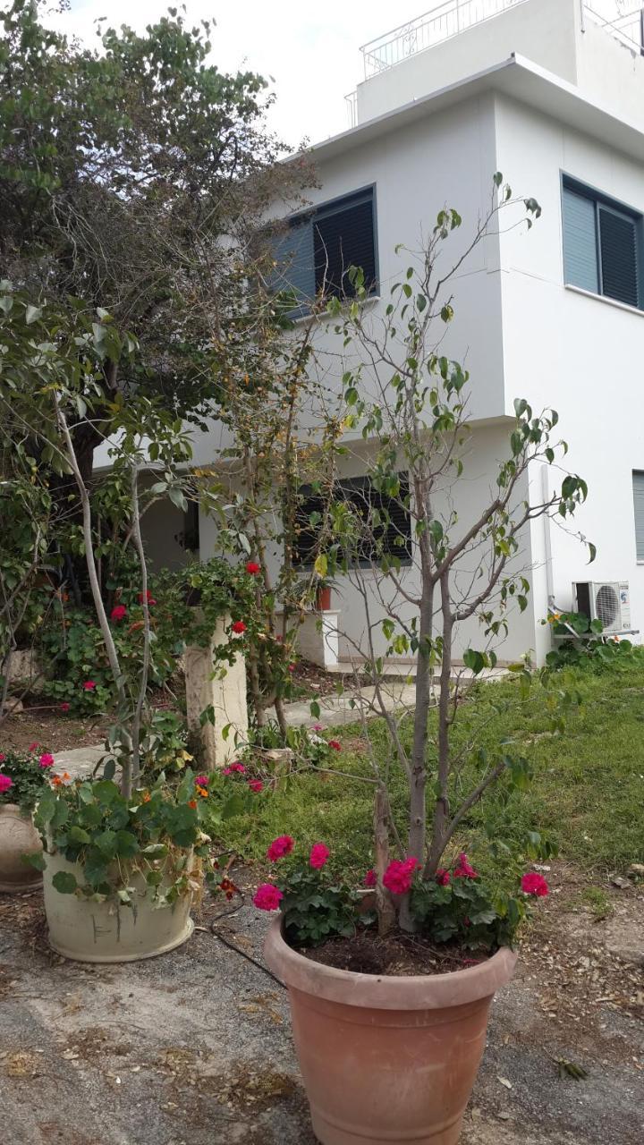 Kibbutz Nachshon Bed & Breakfast Exterior photo